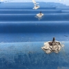 Water Damage Restauration-2-min
